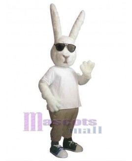 Easter Bunny Rabbit mascot costume