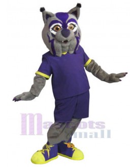 Cat mascot costume