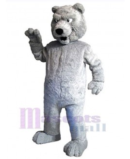 Bear mascot costume