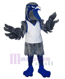 Hawk mascot costume