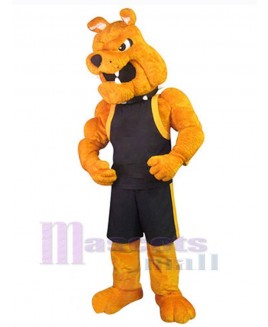 Dog mascot costume