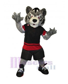 Wolf mascot costume