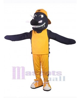 Dragon mascot costume