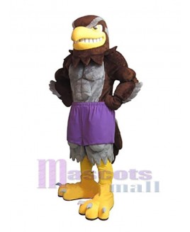 Falcon mascot costume