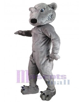 Wolf mascot costume