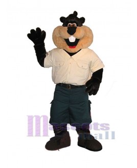 Beaver mascot costume