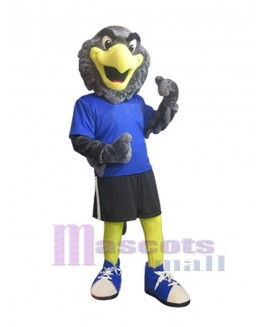 Falcon mascot costume