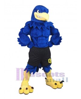 Falcon mascot costume