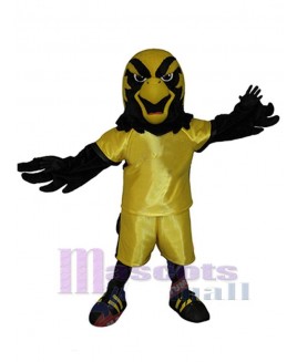 Falcon mascot costume