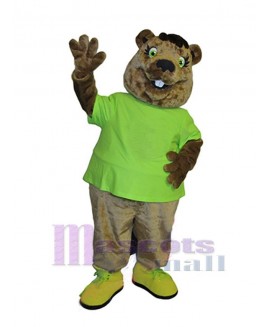 Beaver mascot costume