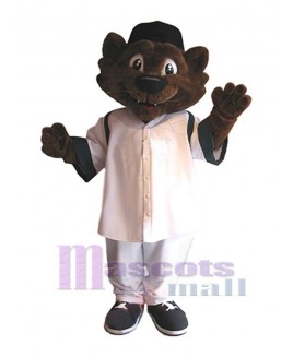 Cat mascot costume