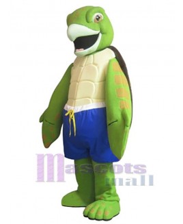 Turtle mascot costume