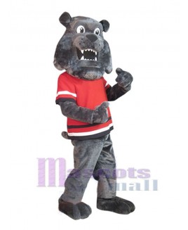 Dog mascot costume