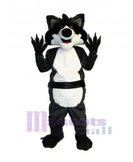 Raccoon mascot costume