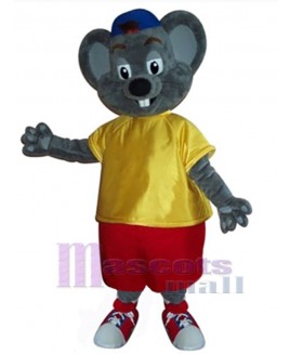 Rat Mouse mascot costume