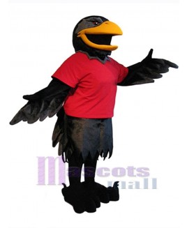 Raven mascot costume