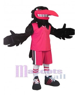 Raven mascot costume