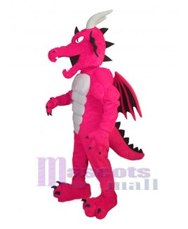 Dragon mascot costume