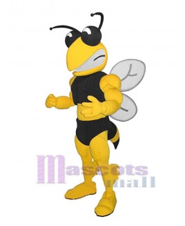 Bee mascot costume