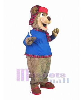 Bear mascot costume