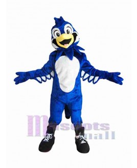 Bird mascot costume