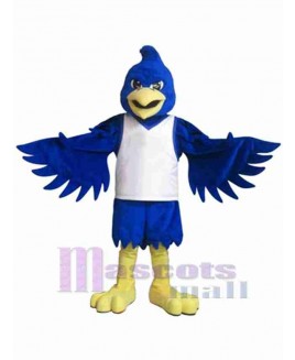 Bird mascot costume