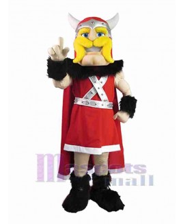 Viking mascot costume