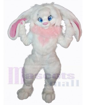 Easter Bunny Rabbit mascot costume