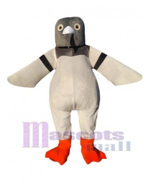 Sedate White Pigeon Mascot Costume Animal