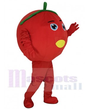 Tomato mascot costume