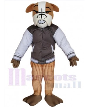 Bulldog mascot costume