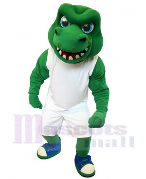 Crocodile mascot costume