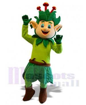 Elf mascot costume