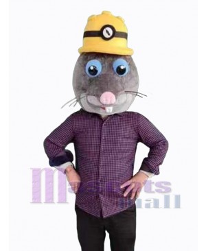 Mole mascot costume