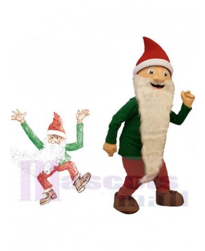 Dwarfs Elf mascot costume