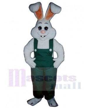 Easter Bunny Rabbit mascot costume