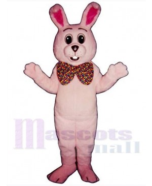 Easter Bunny Rabbit mascot costume