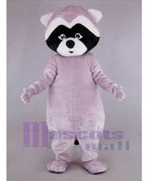 Raccoon mascot costume