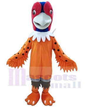 Pheasant mascot costume