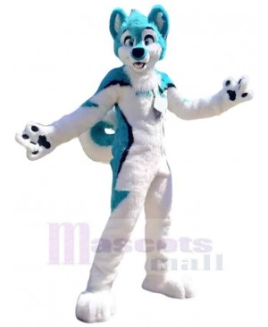 Dog mascot costume