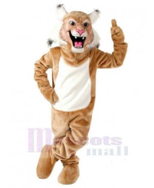 Cat mascot costume