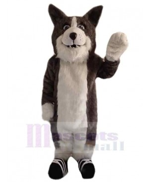 Wolf mascot costume