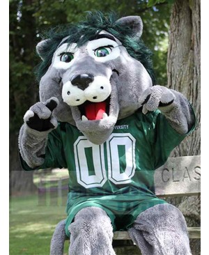 Lion mascot costume