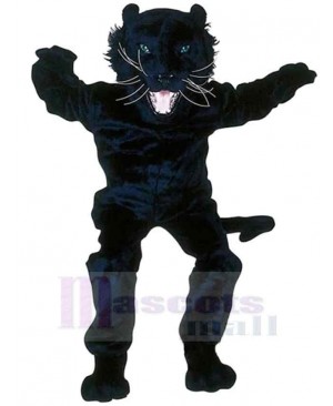 Panther mascot costume