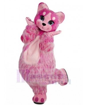 Cat mascot costume