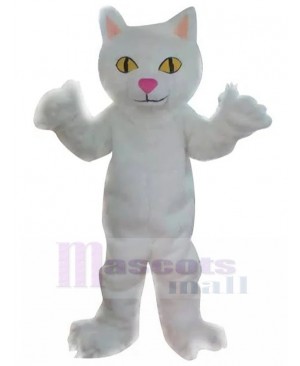 cat mascot costume