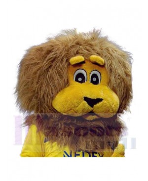 Lion mascot costume