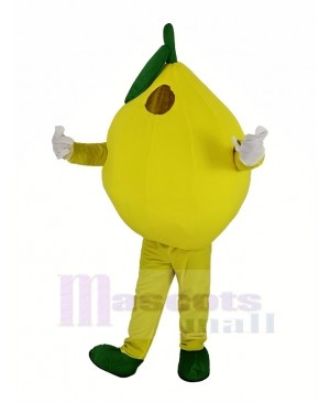 Yellow Lemon Mascot Costume