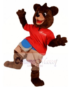 Dark Brown Bear Mascot Costumes