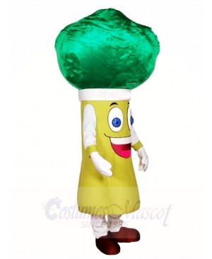 Broccoli Mascot Costumes Vegetables